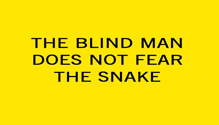 blindMan and the snake